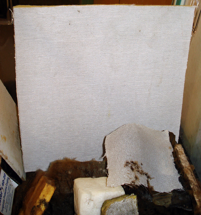 Mold farm in basement