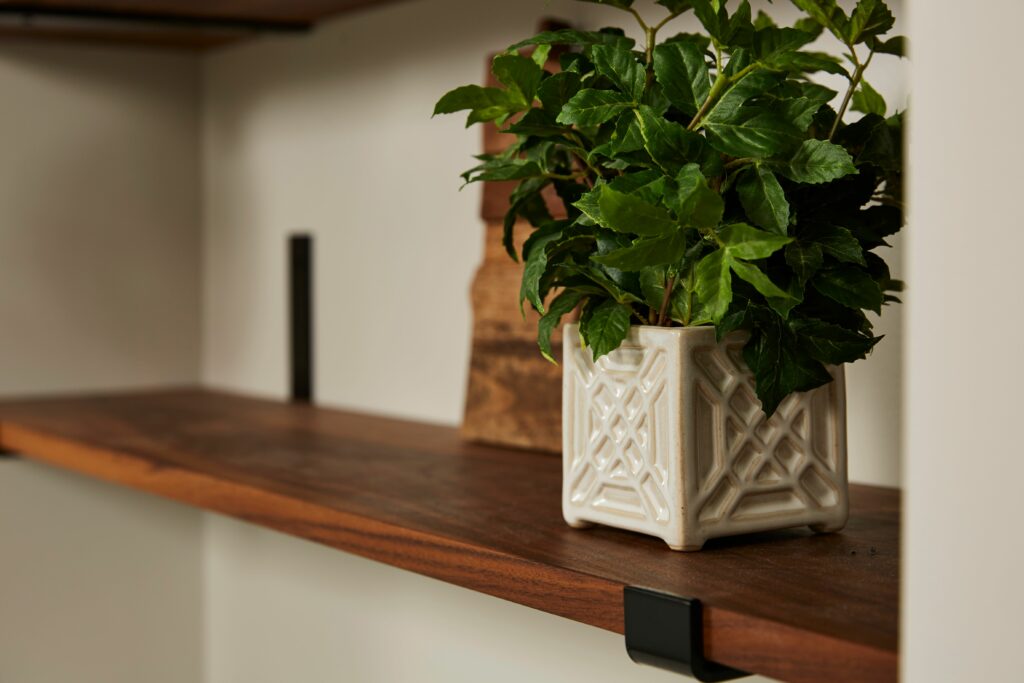 A small plant in a white pot on a wooden shelf